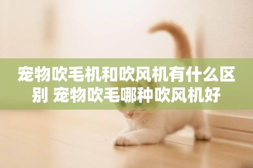 寵物吹毛機和吹風機有什么區別 寵物吹毛哪種吹風機好