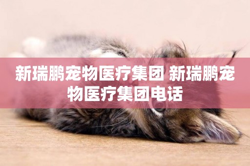 新瑞鵬寵物醫療集團 新瑞鵬寵物醫療集團電話