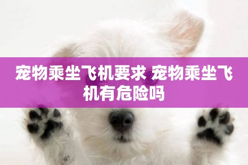 寵物乘坐飛機要求 寵物乘坐飛機有危險嗎