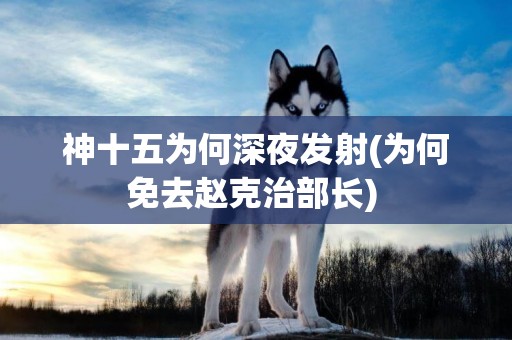 神十五為何深夜發射(為何免去趙克治部長) 