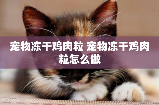 寵物凍干雞肉粒 寵物凍干雞肉粒怎么做