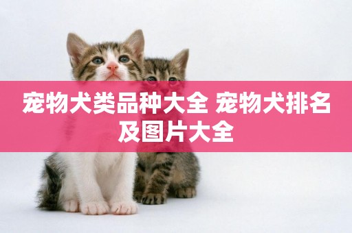 寵物犬類品種大全 寵物犬排名及圖片大全