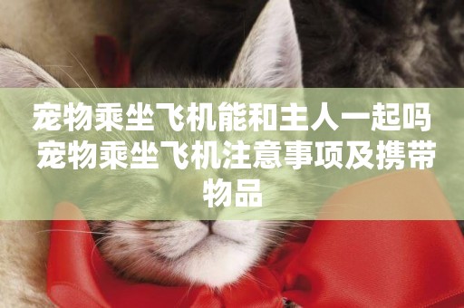 寵物乘坐飛機能和主人一起嗎 寵物乘坐飛機注意事項及攜帶物品