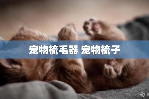 寵物梳毛器 寵物梳子