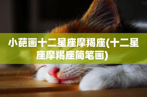 小葩畫十二星座摩羯座(十二星座摩羯座簡筆畫) 