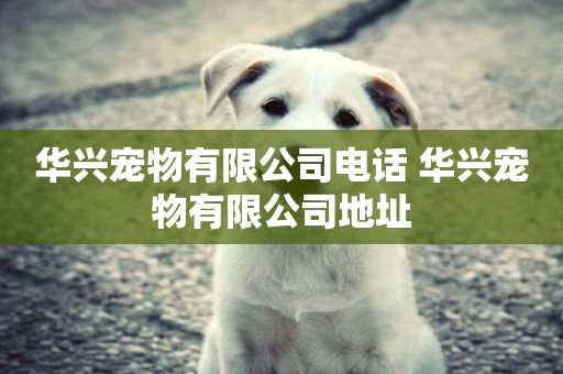 華興寵物有限公司電話 華興寵物有限公司地址