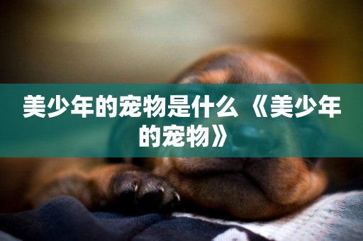 美少年的寵物是什么 《美少年的寵物》