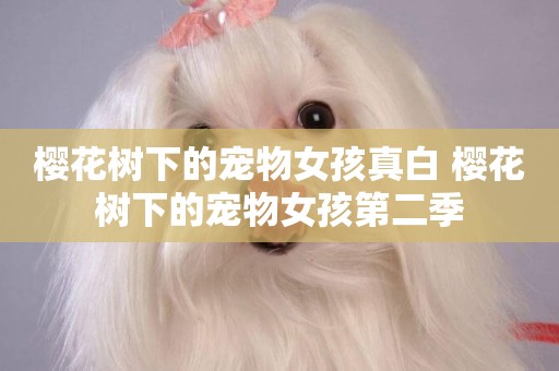 櫻花樹下的寵物女孩真白 櫻花樹下的寵物女孩第二季