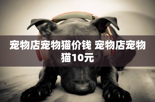 寵物店寵物貓價錢 寵物店寵物貓10元