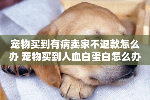 寵物買到有病賣家不退款怎么辦 寵物買到人血白蛋白怎么辦