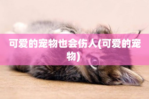 可愛的寵物也會傷人(可愛的寵物) 