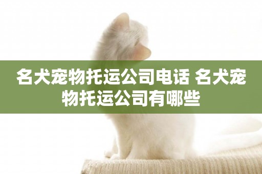 名犬寵物托運公司電話 名犬寵物托運公司有哪些