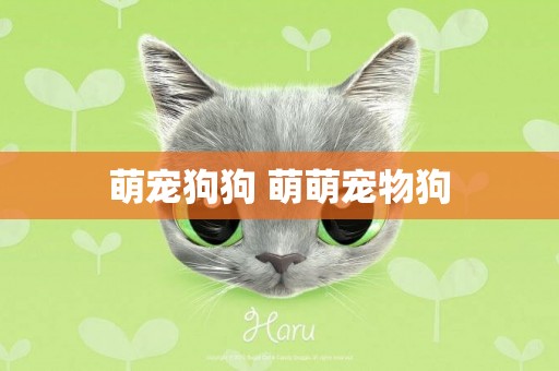 萌寵狗狗 萌萌寵物狗