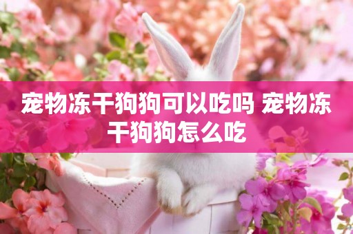 寵物凍干狗狗可以吃嗎 寵物凍干狗狗怎么吃