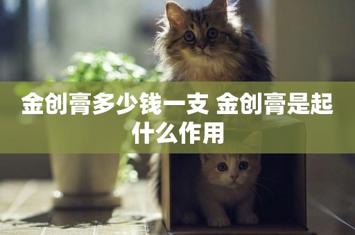 金創膏多少錢一支 金創膏是起什么作用