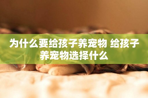 為什么要給孩子養寵物 給孩子養寵物選擇什么