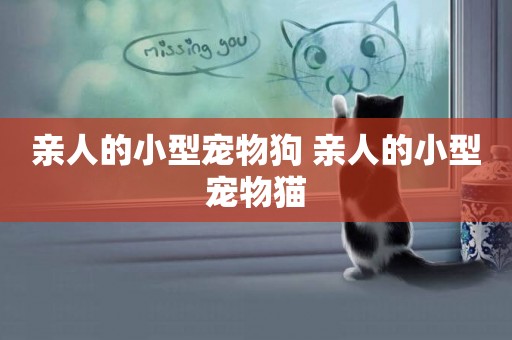 親人的小型寵物狗 親人的小型寵物貓