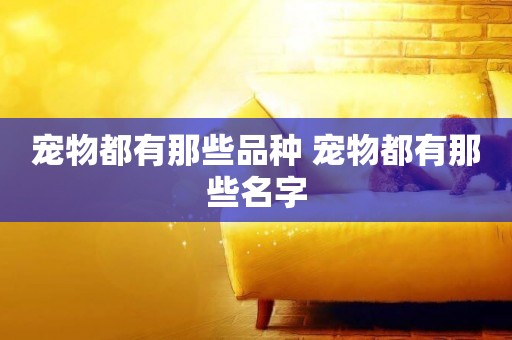 寵物都有那些品種 寵物都有那些名字