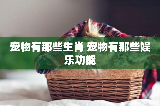 寵物有那些生肖 寵物有那些娛樂功能