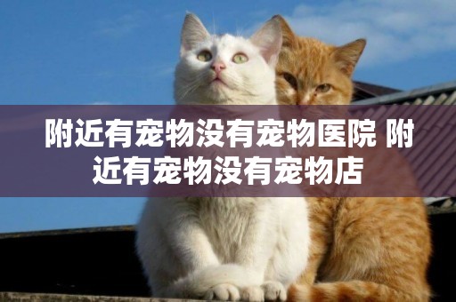 附近有寵物沒有寵物醫院 附近有寵物沒有寵物店