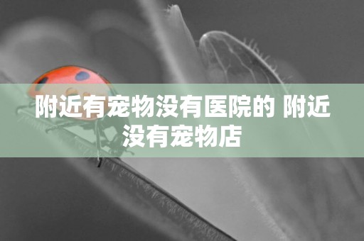 附近有寵物沒有醫院的 附近沒有寵物店