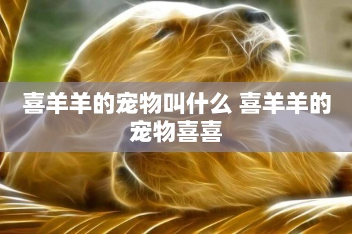 喜羊羊的寵物叫什么 喜羊羊的寵物喜喜