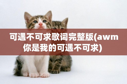 可遇不可求歌詞完整版(awm你是我的可遇不可求) 