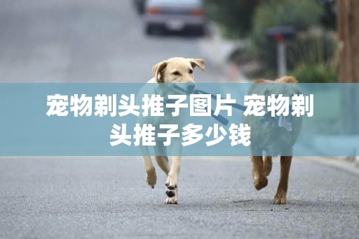 寵物剃頭推子圖片 寵物剃頭推子多少錢