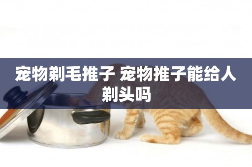 寵物剃毛推子 寵物推子能給人剃頭嗎