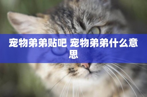 寵物弟弟貼吧 寵物弟弟什么意思