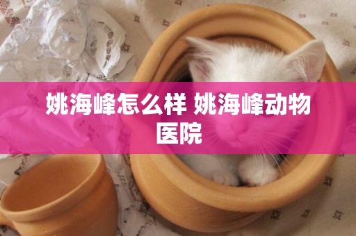 姚海峰怎么樣 姚海峰動物醫院