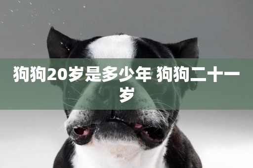 狗狗20歲是多少年 狗狗二十一歲