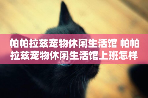 帕帕拉茲寵物休閑生活館 帕帕拉茲寵物休閑生活館上班怎樣
