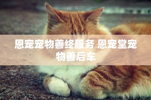 恩寵寵物善終服務 恩寵堂寵物善后車