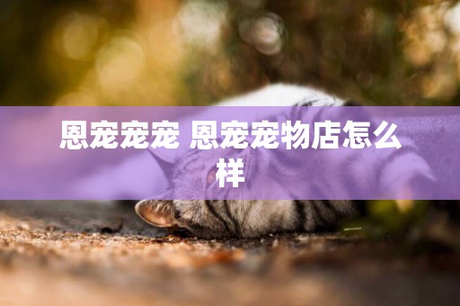 恩寵寵寵 恩寵寵物店怎么樣