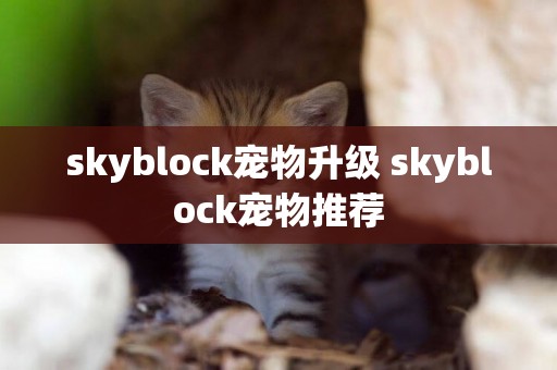 skyblock寵物升級 skyblock寵物推薦