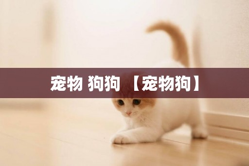 寵物 狗狗 【寵物狗】