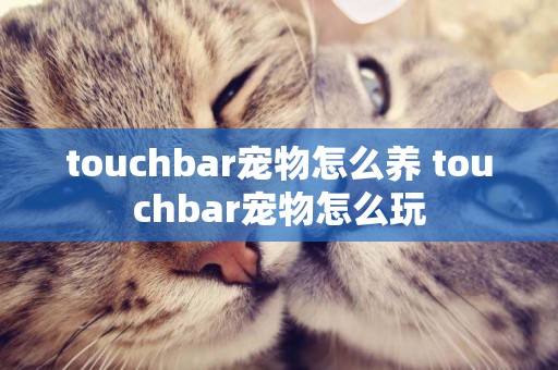 touchbar寵物怎么養 touchbar寵物怎么玩