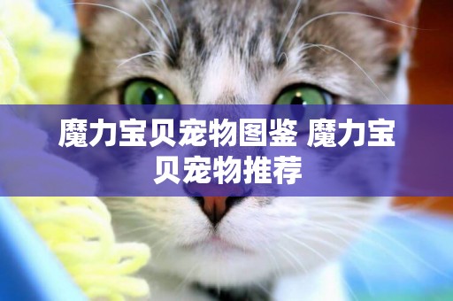 魔力寶貝寵物圖鑒 魔力寶貝寵物推薦