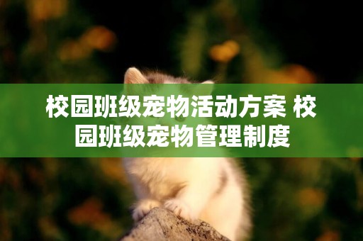 校園班級寵物活動方案 校園班級寵物管理制度