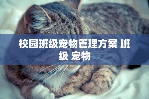 校園班級寵物管理方案 班級 寵物