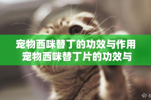 寵物西咪替丁的功效與作用 寵物西咪替丁片的功效與作用