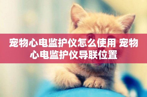 寵物心電監護儀怎么使用 寵物心電監護儀導聯位置