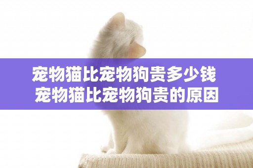 寵物貓比寵物狗貴多少錢 寵物貓比寵物狗貴的原因