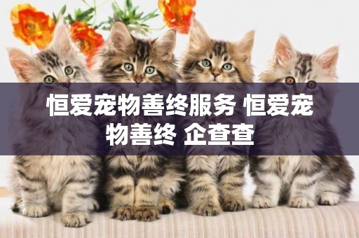 恒愛寵物善終服務 恒愛寵物善終 企查查