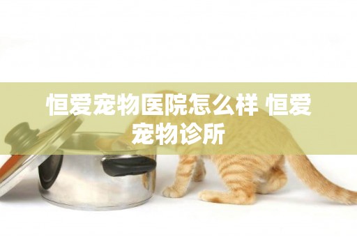 恒愛寵物醫院怎么樣 恒愛寵物診所