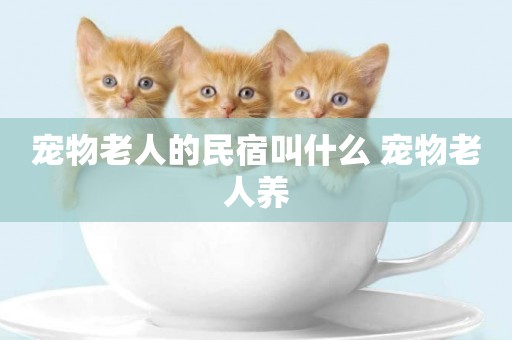 寵物老人的民宿叫什么 寵物老人養