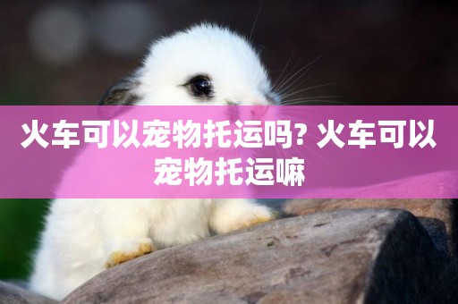 火車可以寵物托運嗎? 火車可以寵物托運嘛