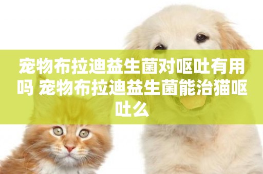 寵物布拉迪益生菌對嘔吐有用嗎 寵物布拉迪益生菌能治貓嘔吐么
