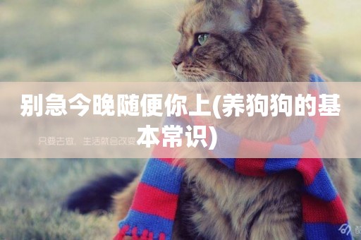 別急今晚隨便你上(養狗狗的基本常識) 